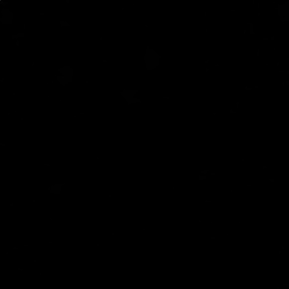 Meet your Posher, Olivia - Picture 1 of 1